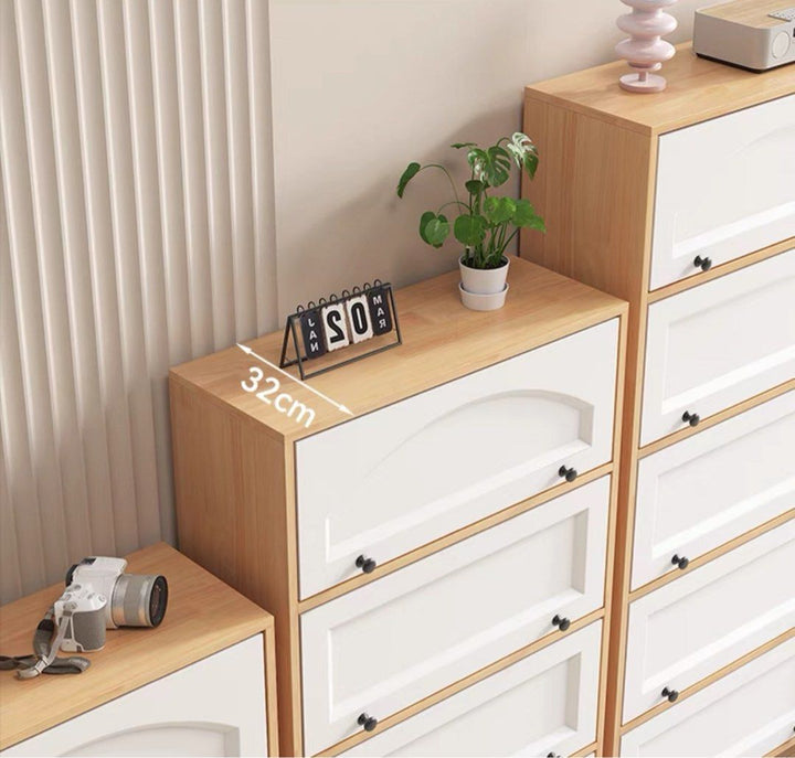 SHOBIA Scandinavian Shoe Cabinet