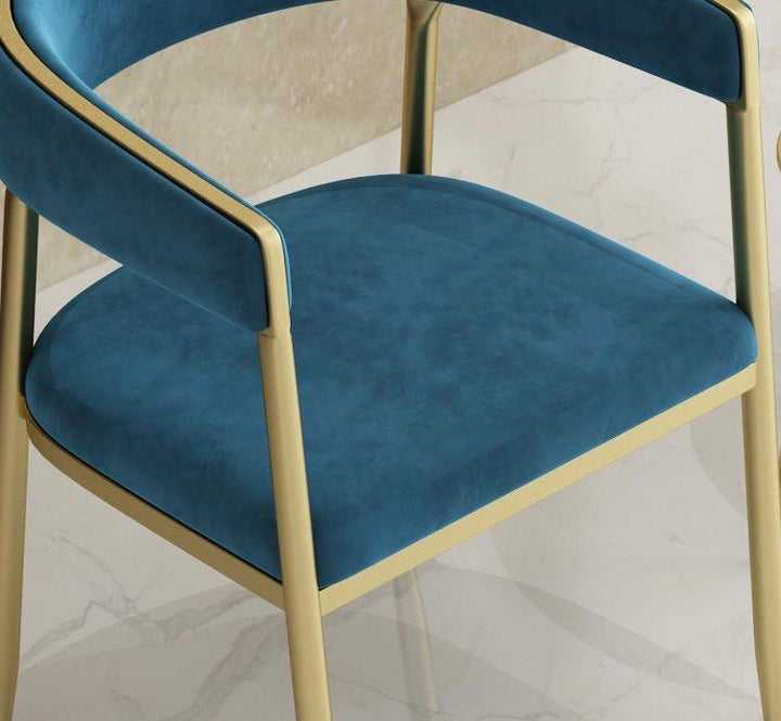 SALLY Modern Dining Chairs