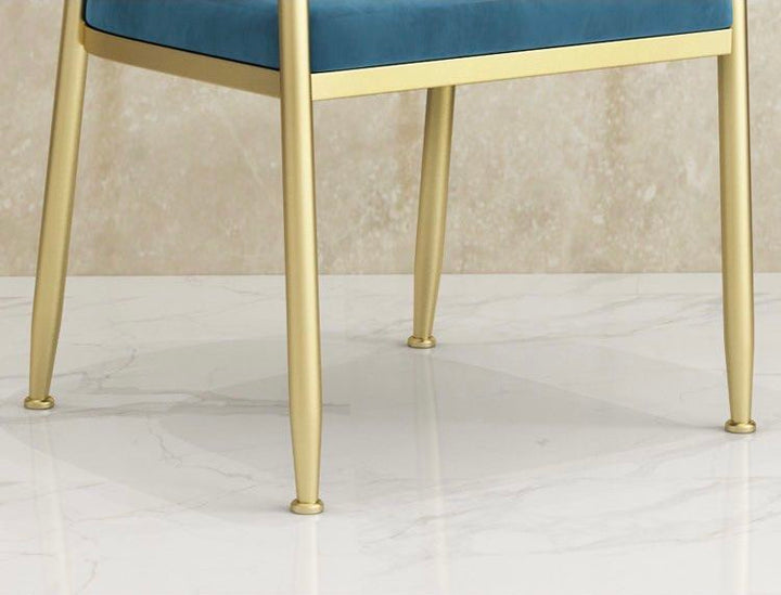SALLY Modern Dining Chairs