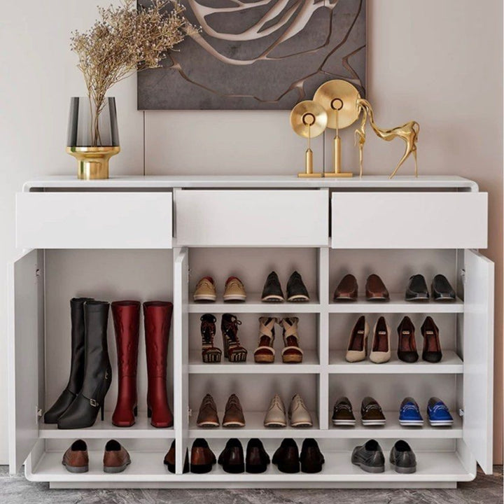 TANZO Modern Shoe Cabinet