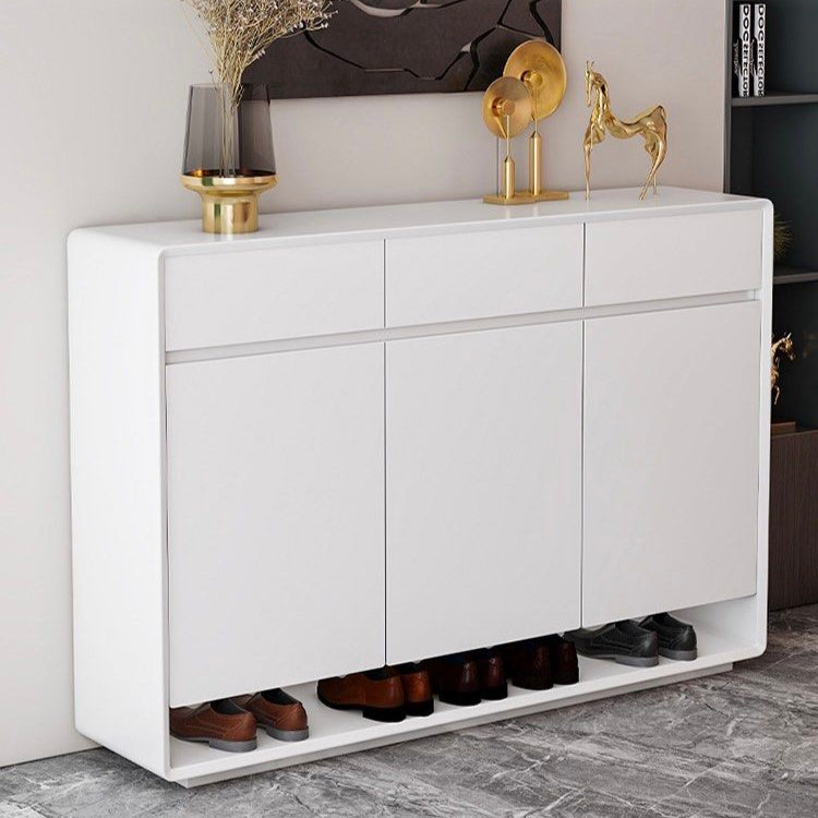 TANZO Modern Shoe Cabinet
