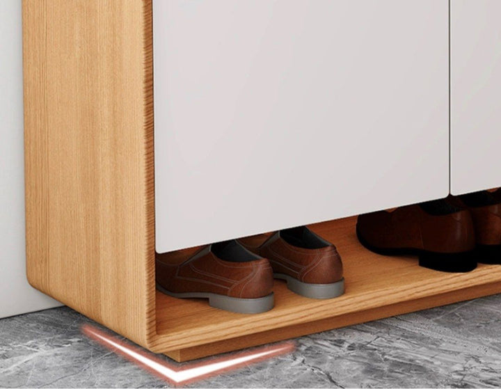 TANZO Modern Shoe Cabinet