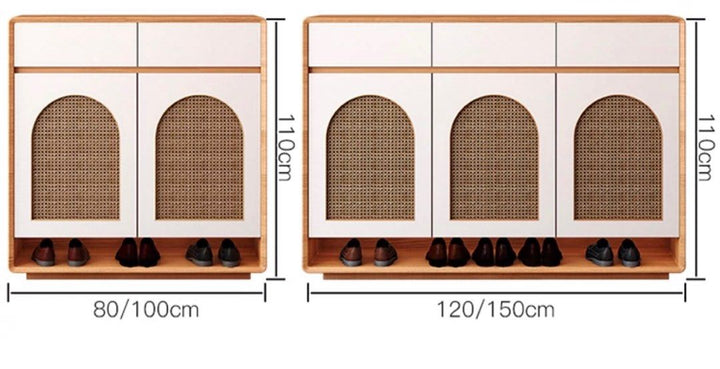TANZO Modern Shoe Cabinet