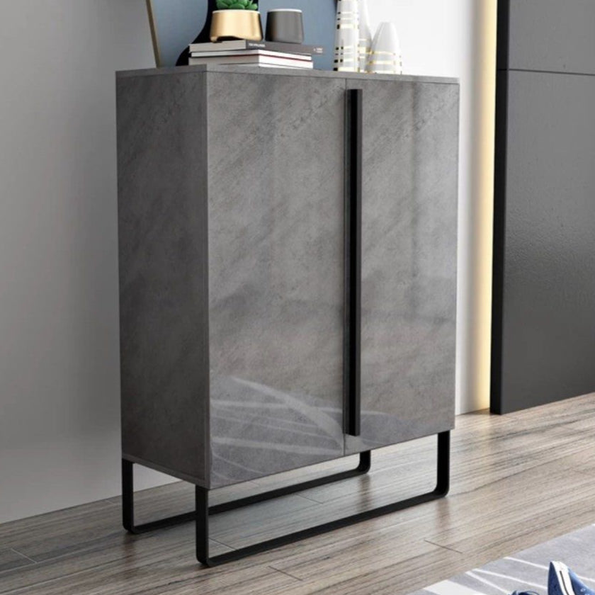 TOLIVER Modern Shoe Cabinet